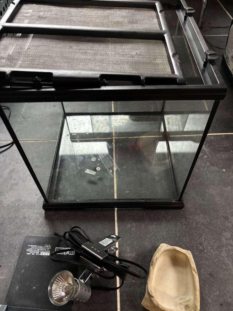 グラステラリウム3030 飼育セット