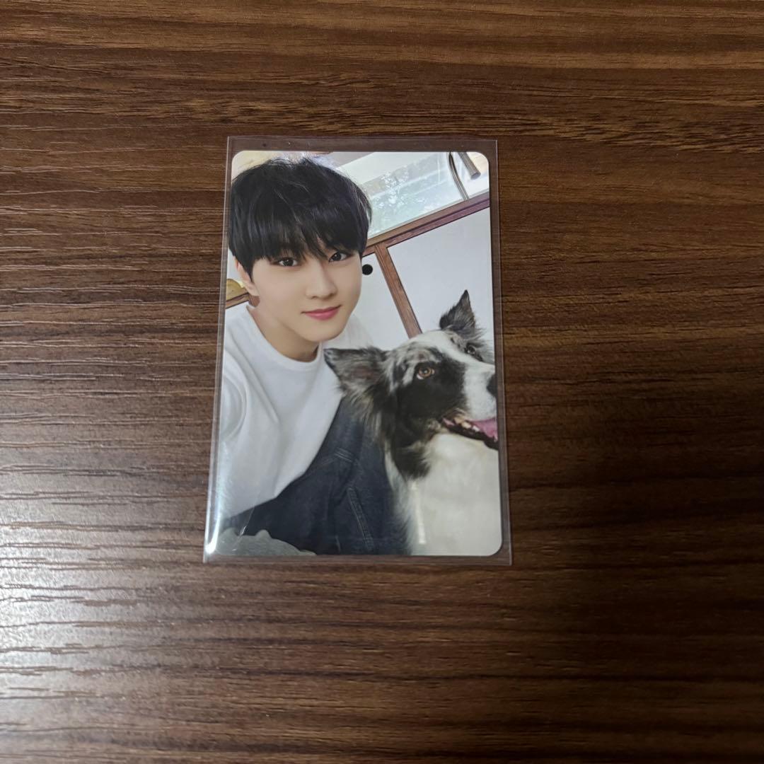 ENHYPEN 2025 アンケート 特典 FCトレカ ジョンウォン