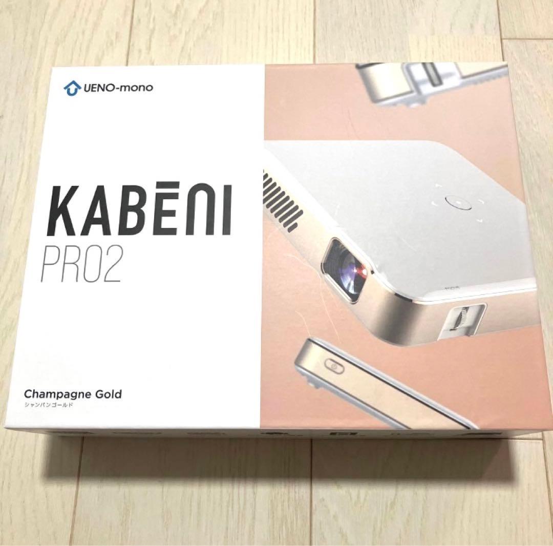 [美品]UENO-mono KABENI PRO2 本体　付属品全てあり