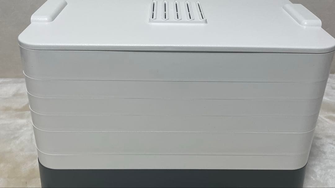 フードドライヤー 家庭用 プチマレンギ TTM-435S 最終価格