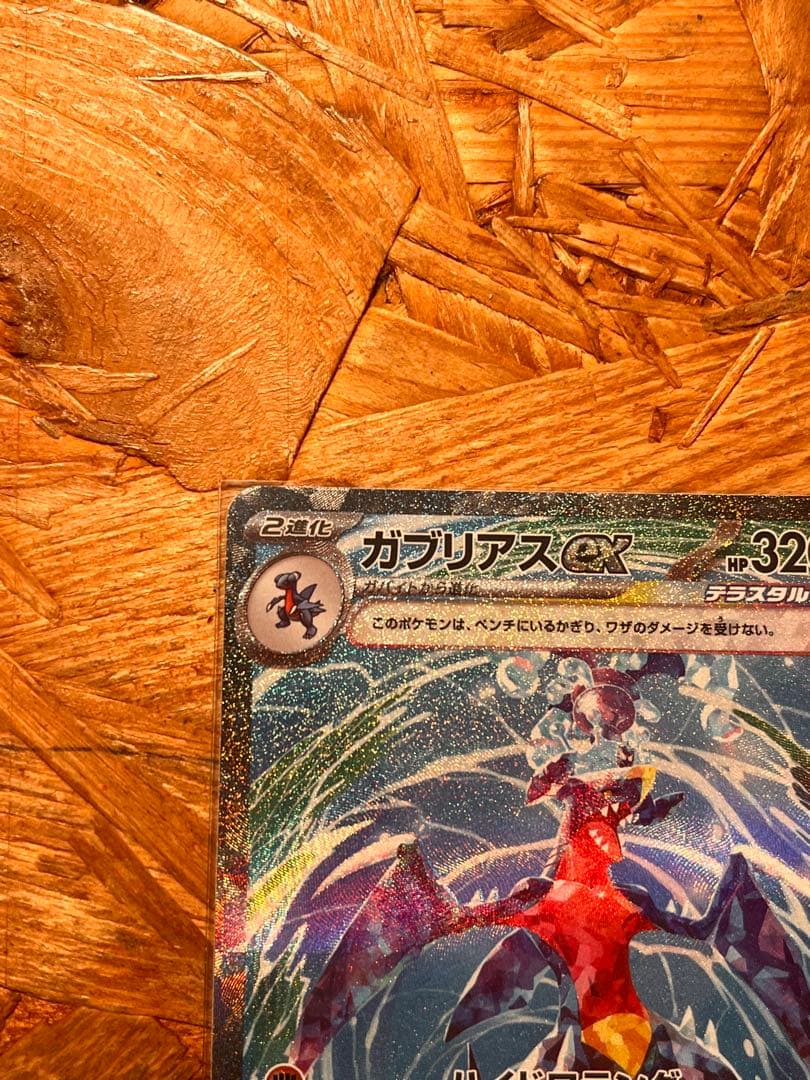 ガブリアスex SAR ガブリアスV 2枚セット