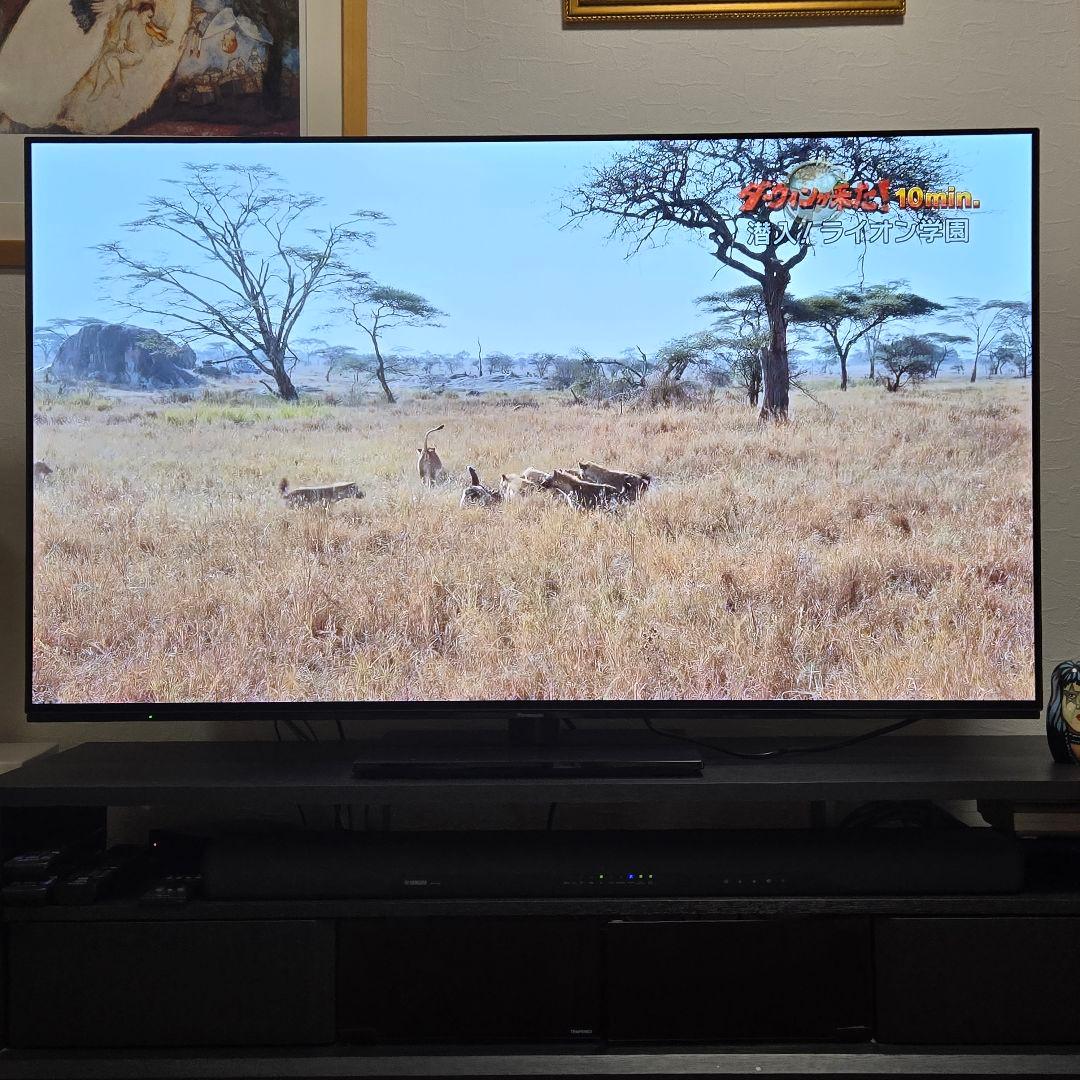 VIERA　TH-55LZ1800 　 55V型 /Bluetooth対応