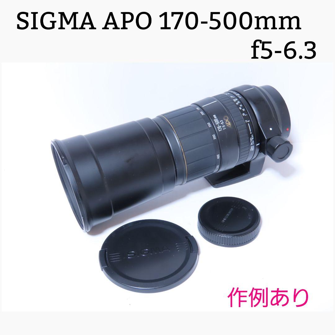 実用品SIGMA APO 170-500mm f5-6.3 作例あり Aマウント