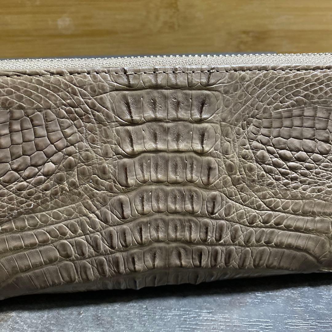 新品 RODANIA ロダニア マット カイマンワニ革 クロコダイル長財布 12