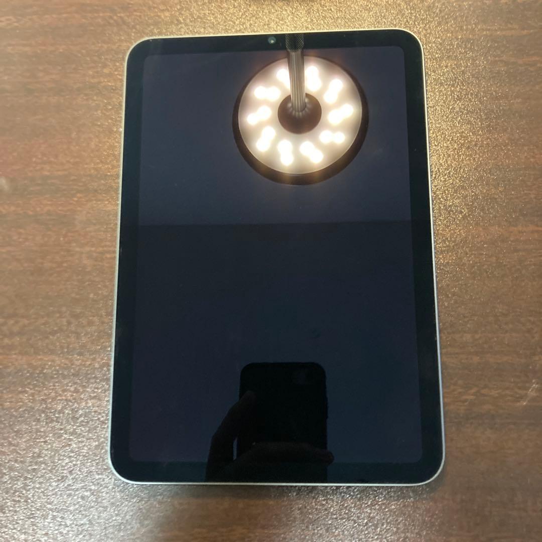 iPad 第6世代(mini) 美品　256GB iPad本体