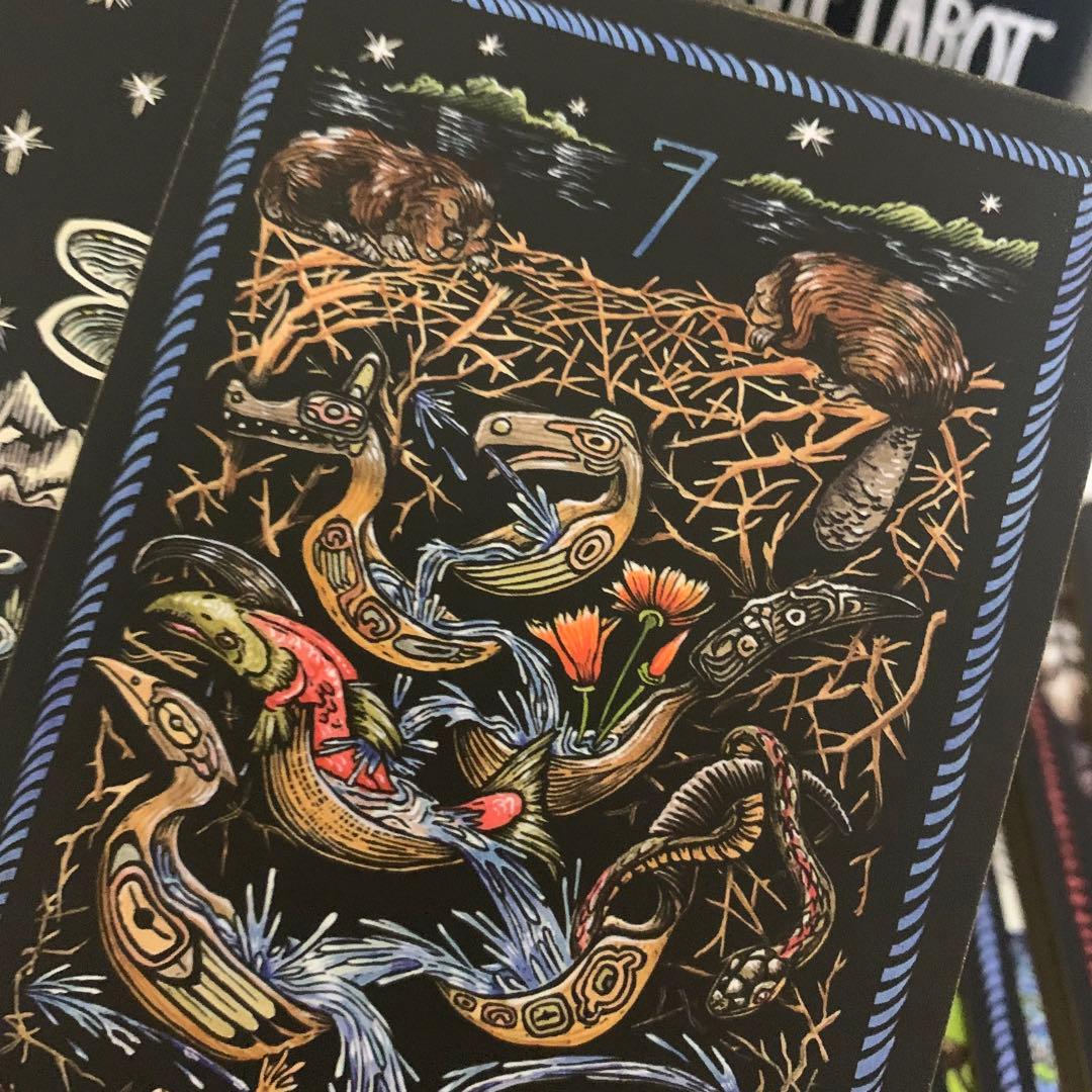 THE BRADY TAROT 海外タロットカード