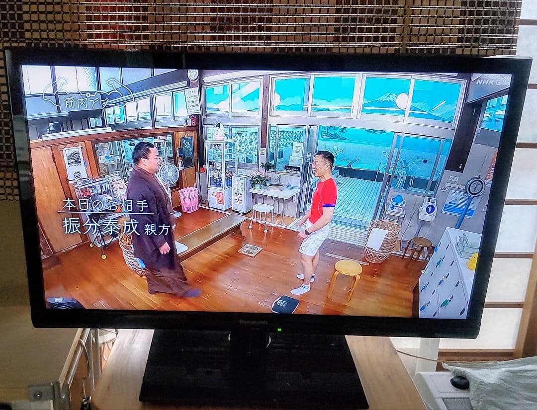 パナソニック Panasonic VIERAビエラ 24V型 TH-24C325