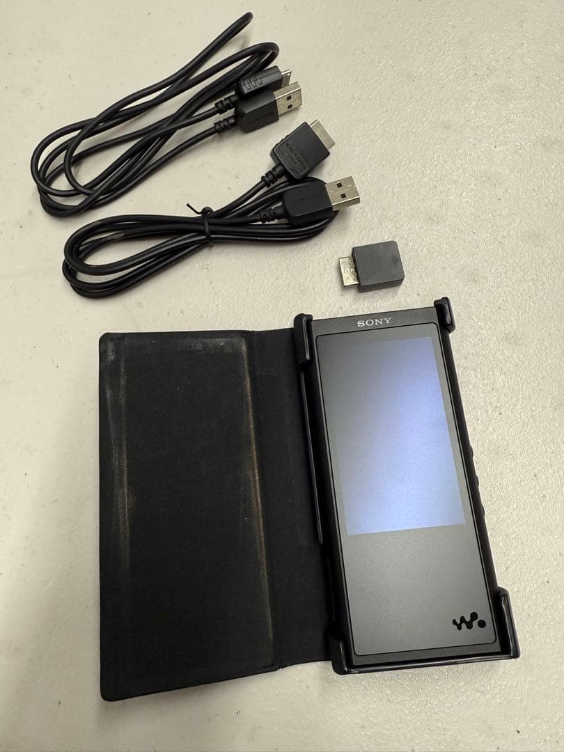 SONY NW-ZX300serieオーディオプレーヤー + 純正革ケース
