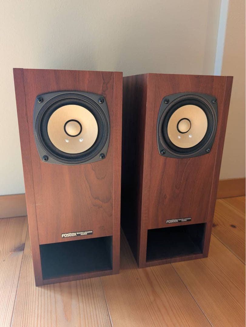 ［週末限定値下げ］Fostex P1000-BH＋FE103En スピーカー