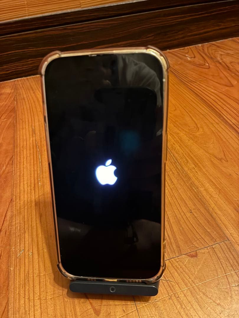 【みあさん専用】iPhone 14 Pro 256GB シルバー