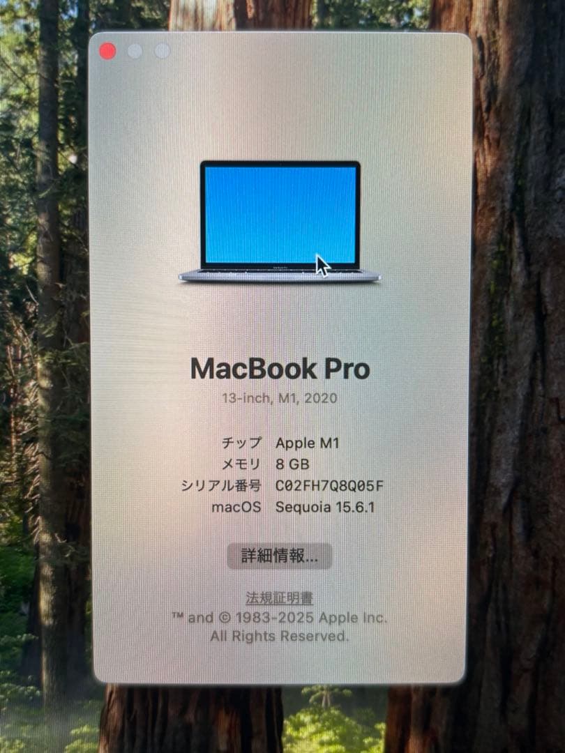 MacBook Pro 13インチ M1 2020 8GB