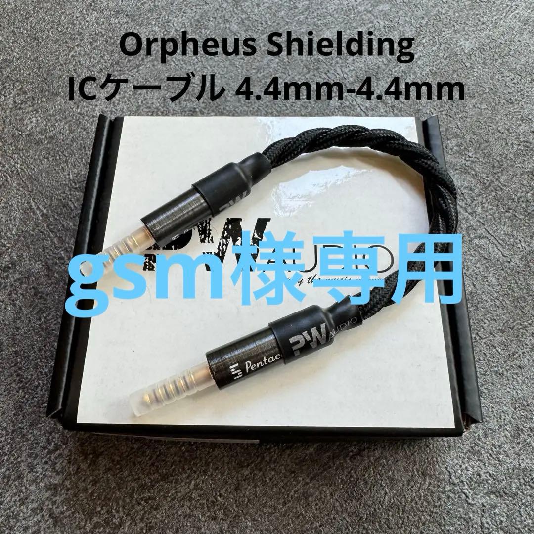 【gsm 】PWAUDIO Orpheus Shielding IC