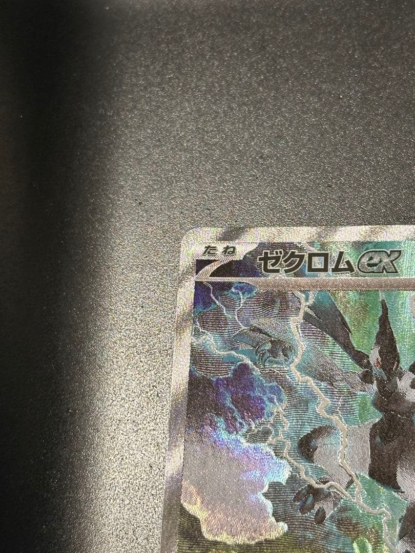 ゼクロムex　SAR