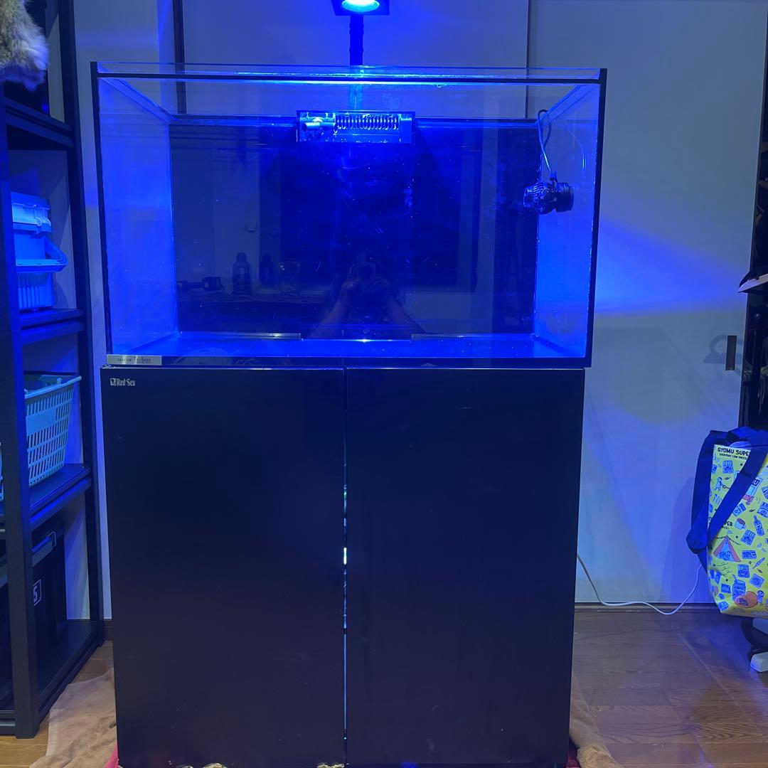 Red Sea REEFER 250 オーバーフロー水槽