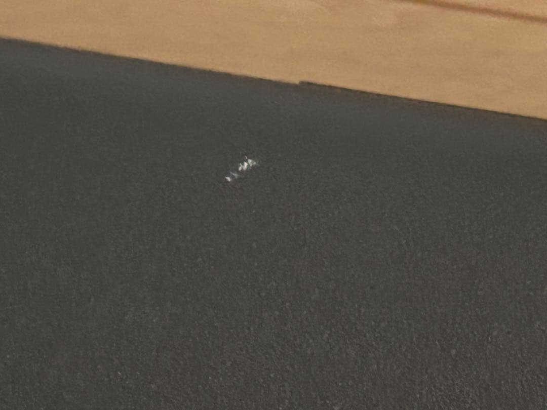 YAMAHAトロンボーンケース