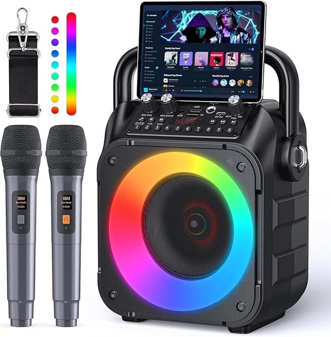 カラオケスピーカーセット マイク2本付き 家庭用・パーティー用