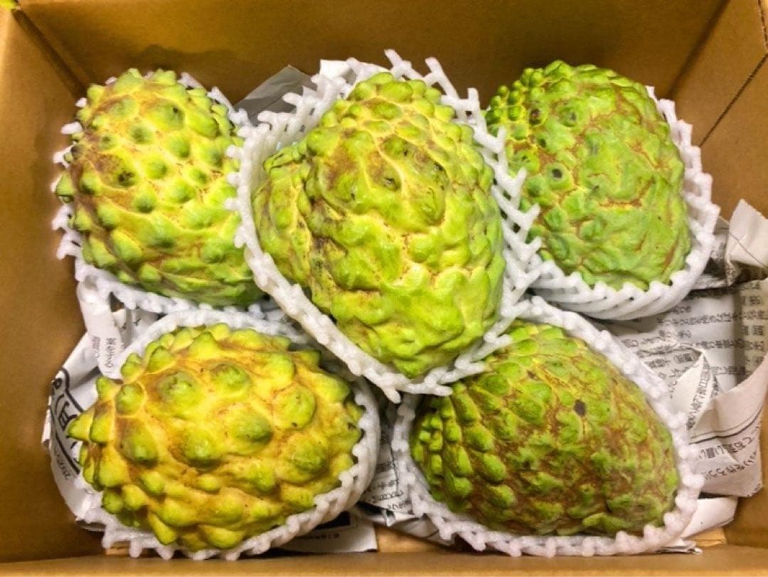 【限定】甘くとろける！森のアイスクリーム！！沖縄産アテモヤ大玉入り 3kg