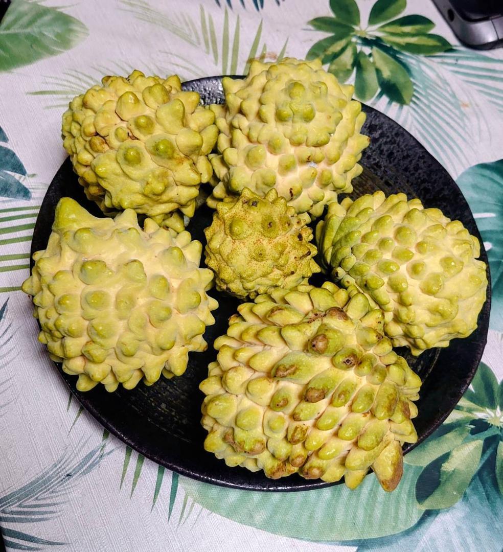 【限定】甘くとろける！森のアイスクリーム！！沖縄産アテモヤ大玉入り 3kg