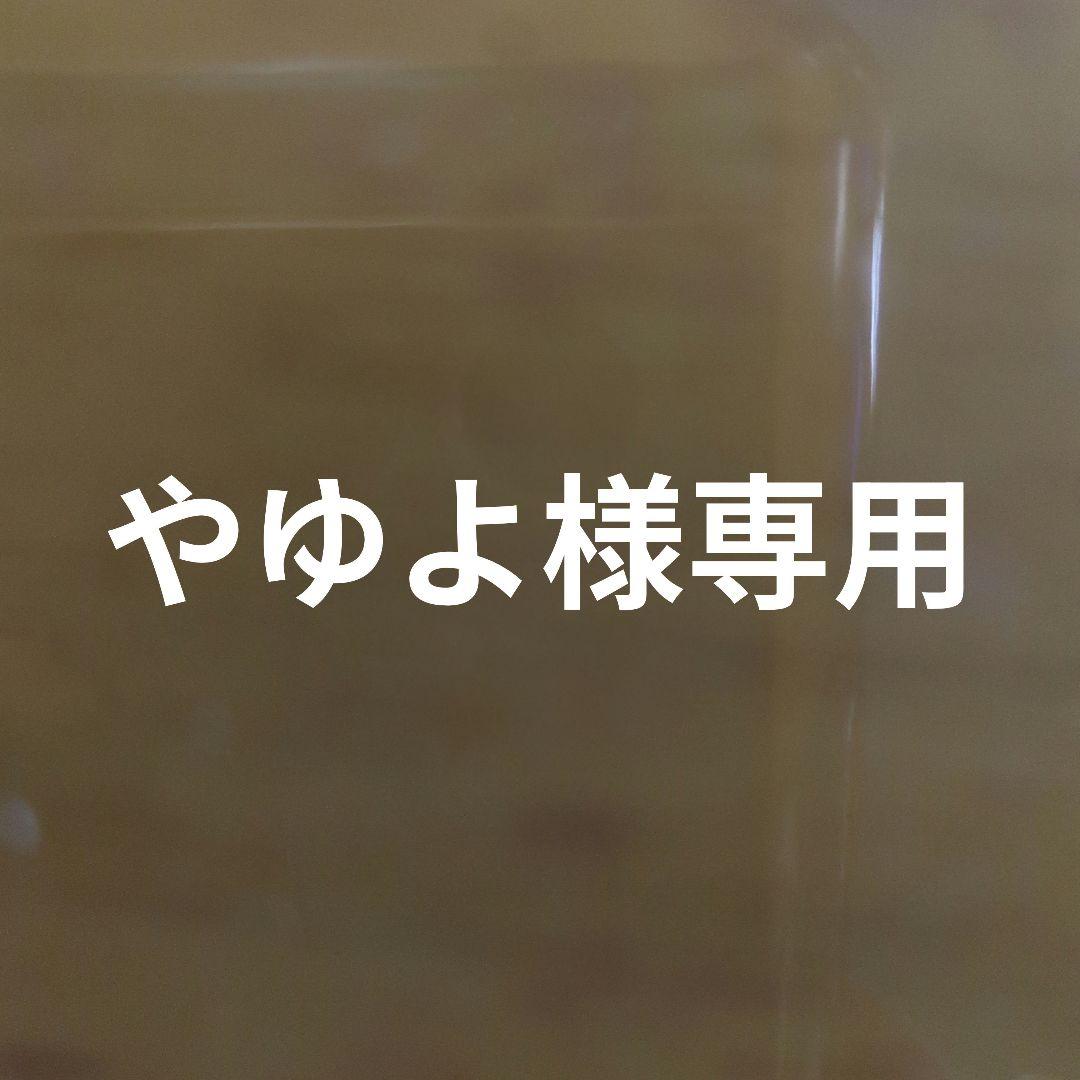 Nikon D5600 デジタル一眼レフセット