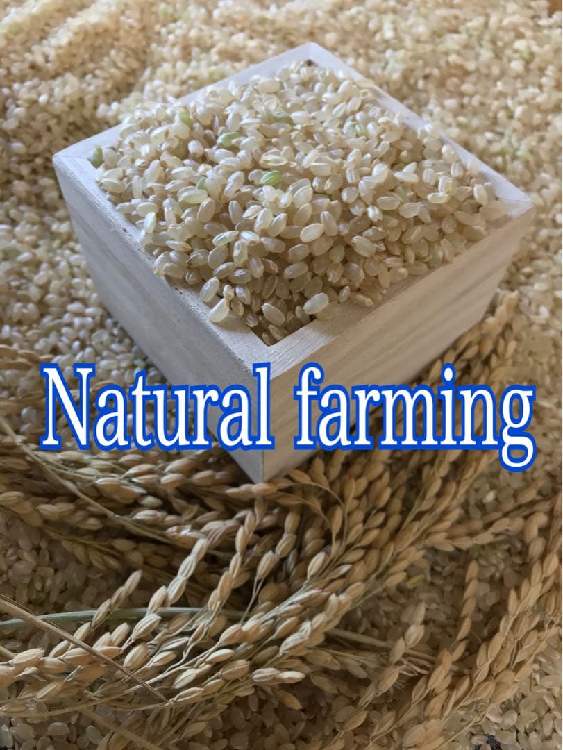 Natural farming 自然栽培玄米 酵素玄米 自然療法 腸脳相関