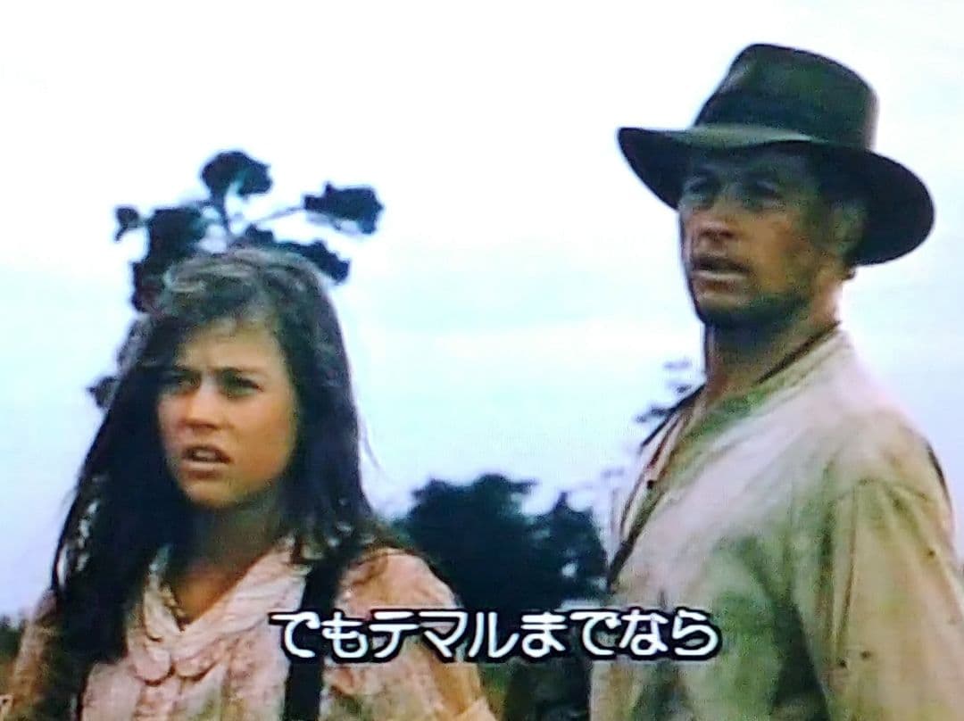 未DVD化 スターライトホテル VHS 激レア！ ロード・ムービー 名作