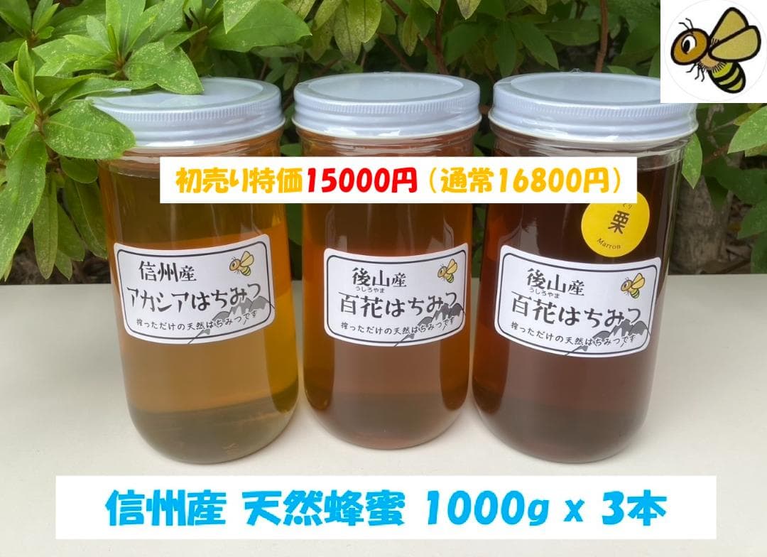 【初売限定】 国産蜂蜜 1000g 3種 アカシア 百花 栗蜜 天然蜂蜜