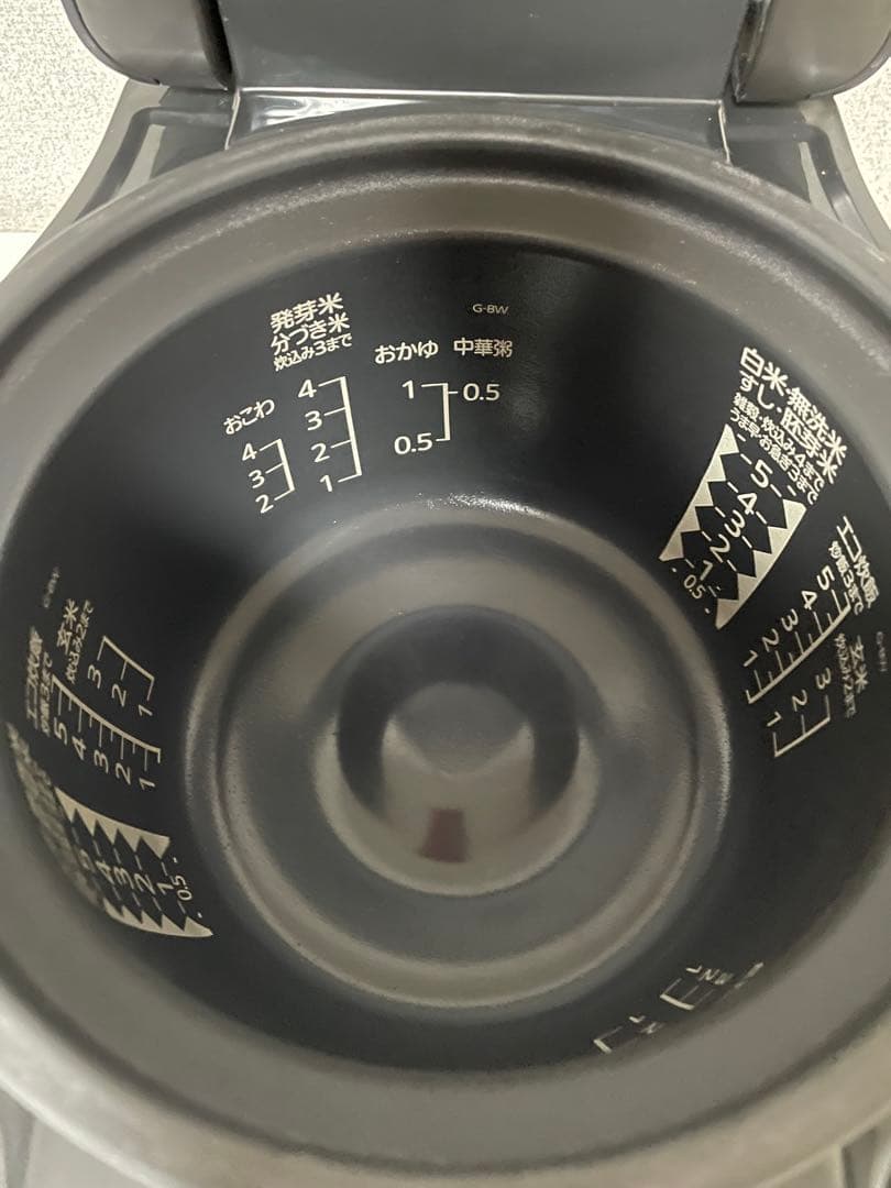 三菱 炊飯器 紬 5.5合炊 NJ-BW10G
