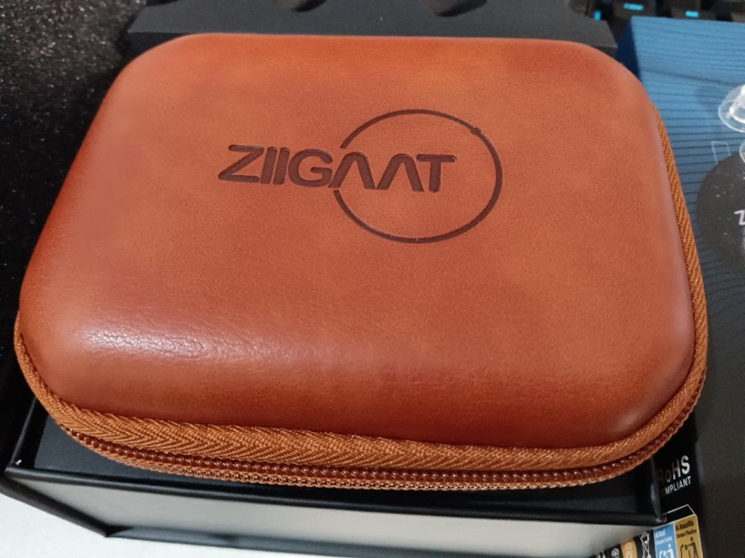 イヤホン Ziigaat Horizon