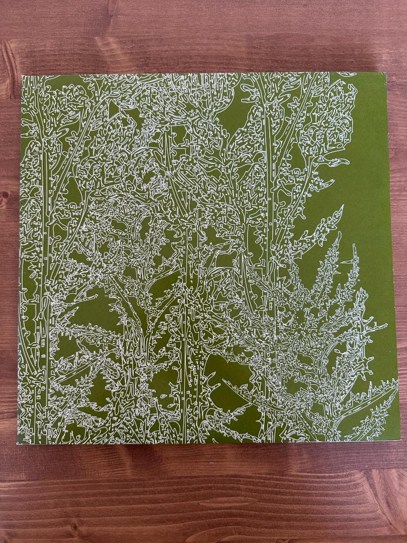 Ricardo Villalobos Alcachofa レコード