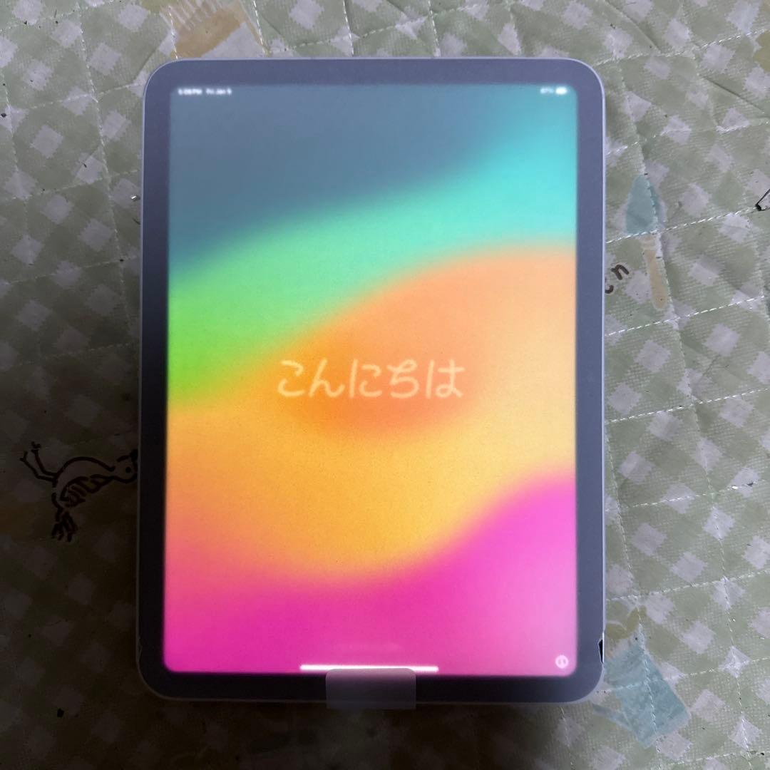 の*ち様 Apple iPad 第10世代　256G