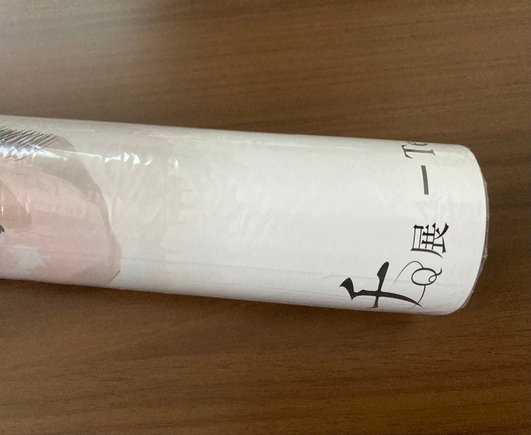 ＴｅＮＱ×『チ。-地球の運動について-』展 描き下ろしB3ポスター 魚豊