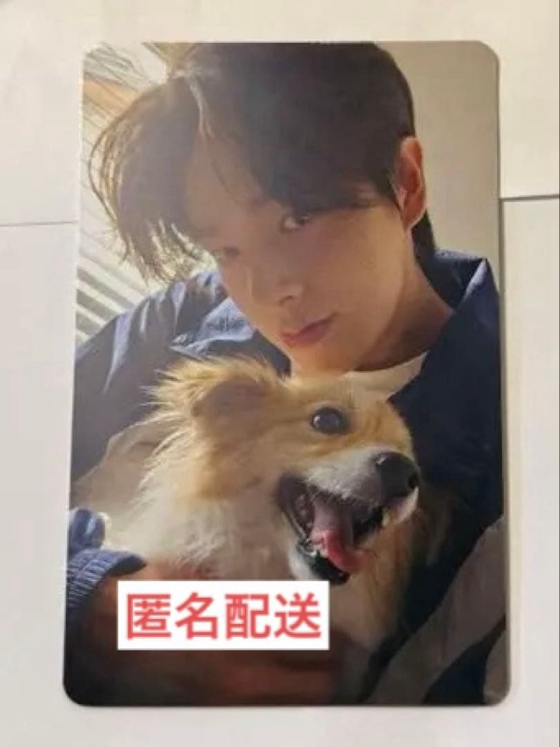 ENHYPEN 特典 アンケート