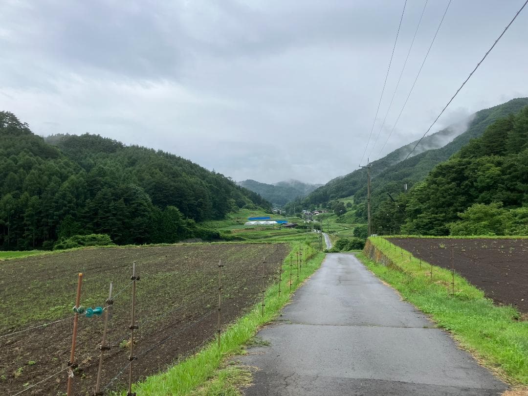 【たま】 国産蜂蜜 1000g 3本セット 信州産 アカシア２ 栗蜜１