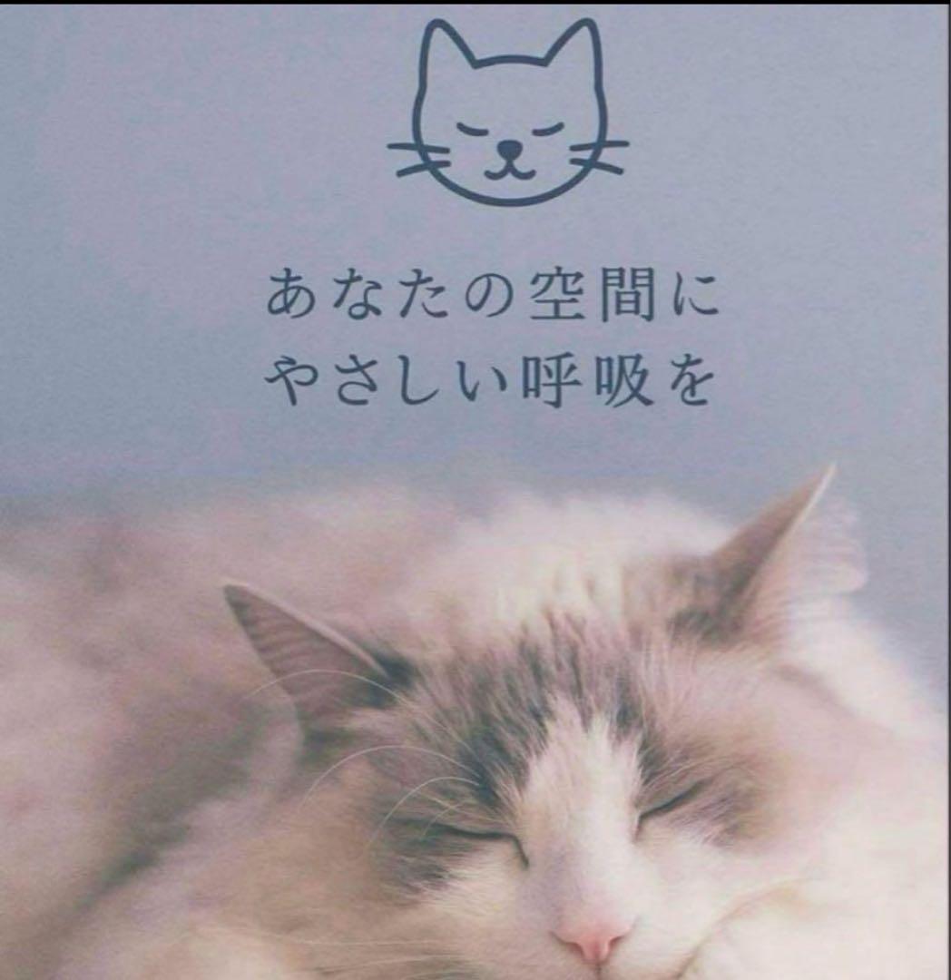 一台限定‼️ダイキン【2026年モデル】 空気清浄機　品番ACM556A-W