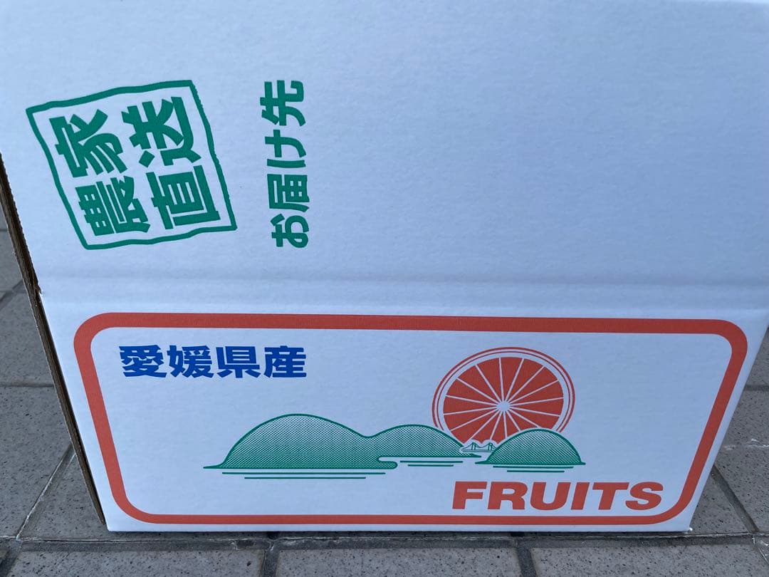 3国産ベルガモットオレンジ果実香りが強い露地栽培約9k A品（一部分B品含む）