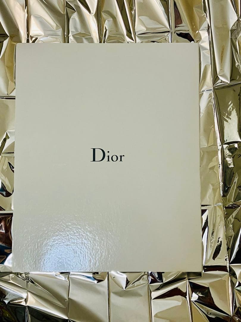 極美品レアChristian Dior Ｔシャツ ジョンガリアーノ