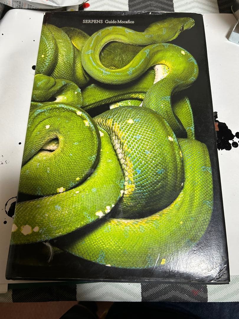 K*N様 SERPENS Guido Mocafico