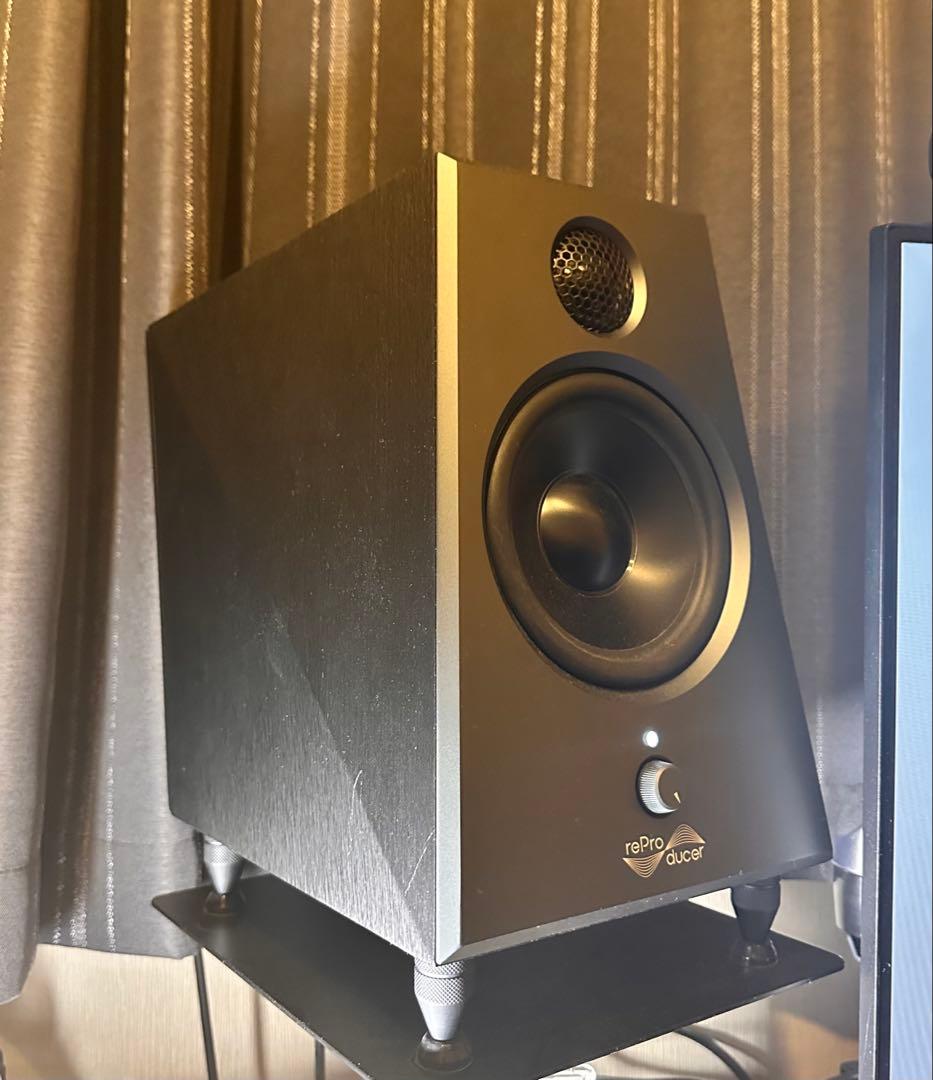 Reproducer audio epic5 ペア 付属品完備