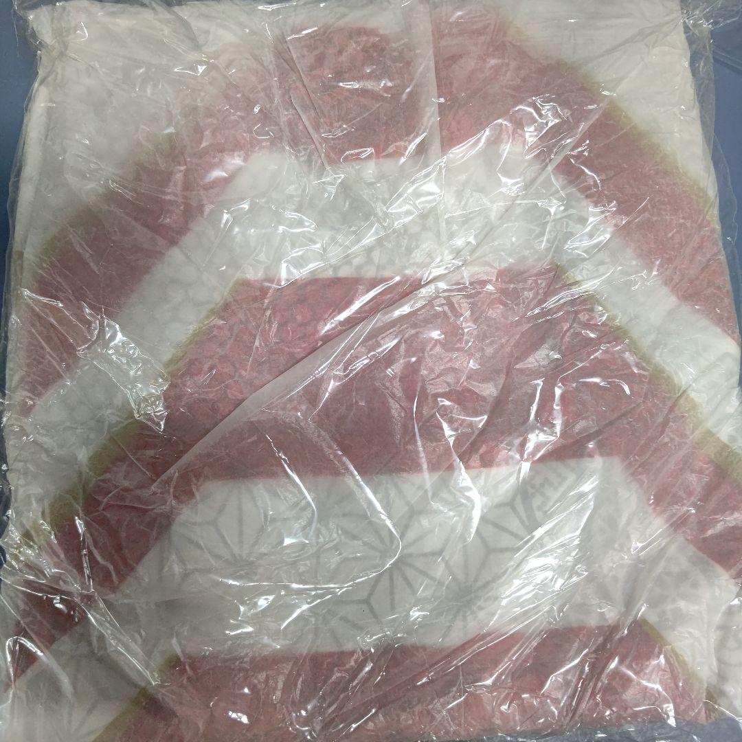 タグ付き　ラグビー 2019日本代表 ユニフォーム XL カンタベリー