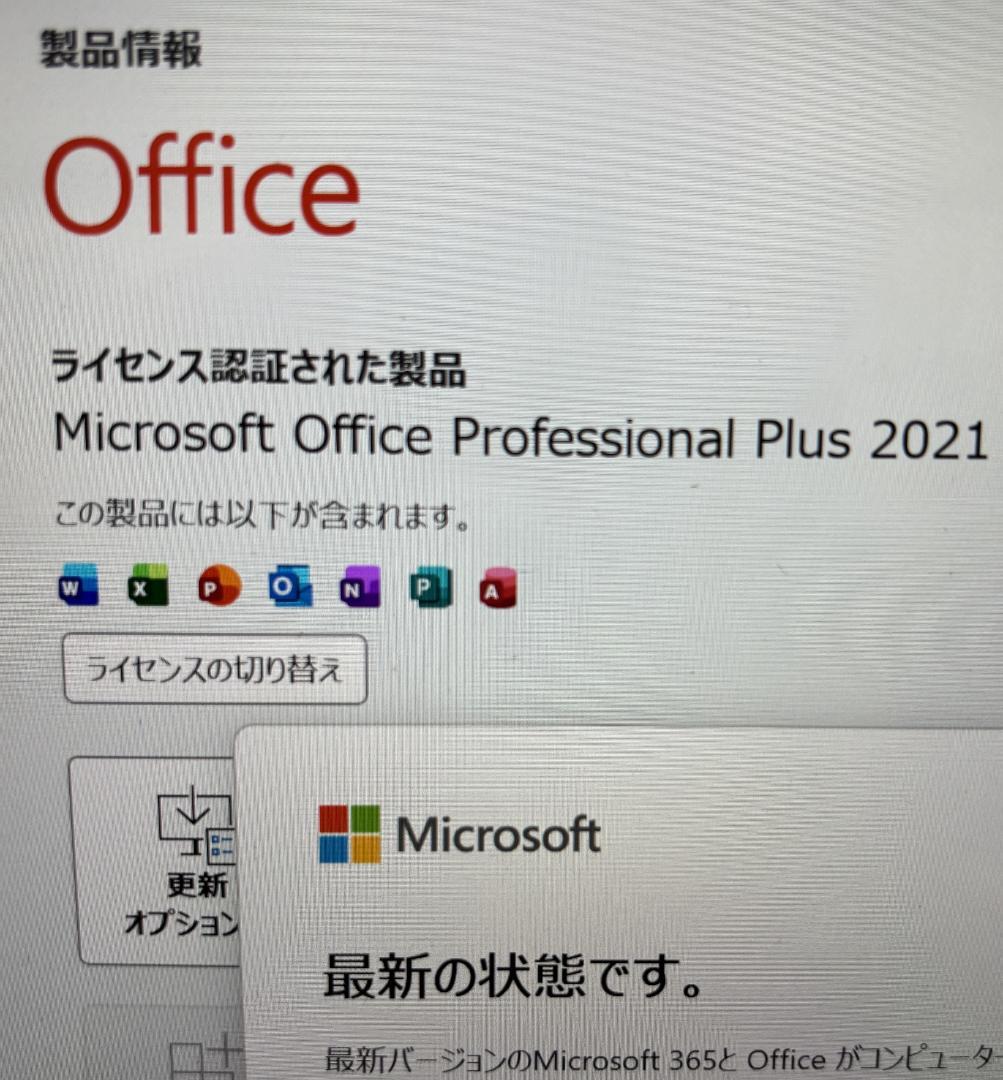 鳥*二様 SurfacePro1724 ノートPC, Win11, Office