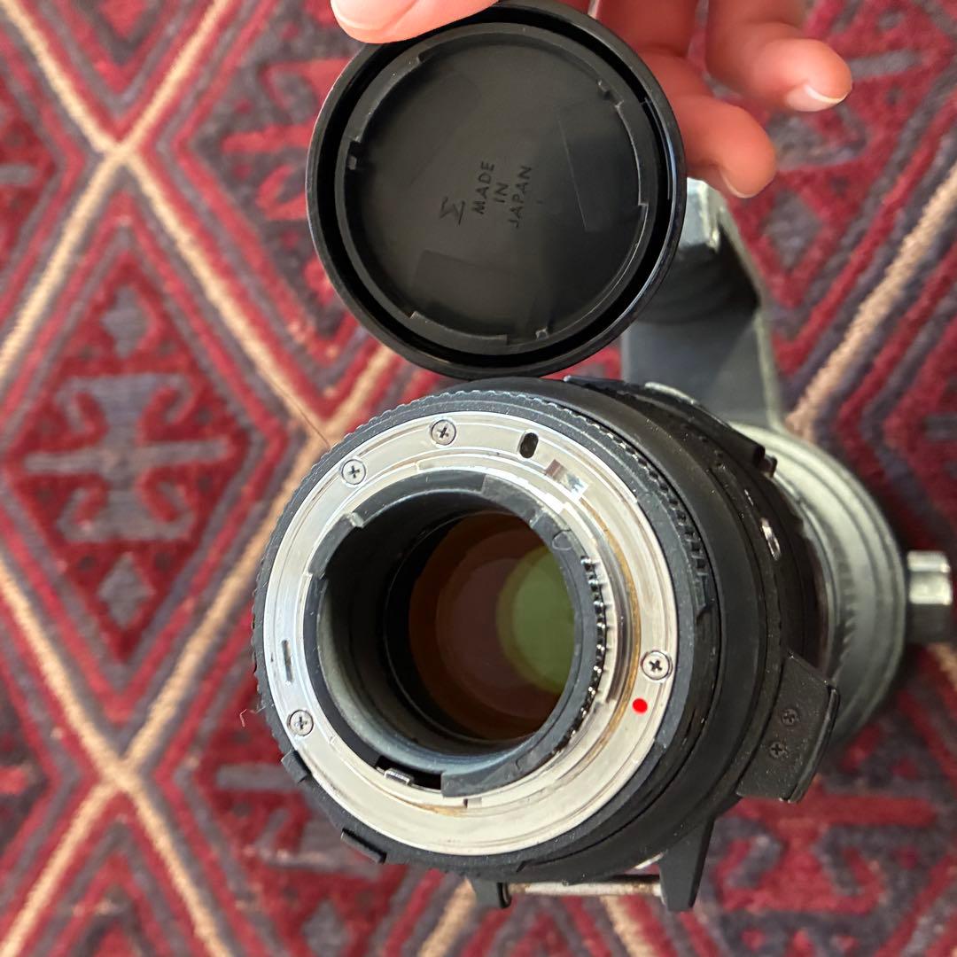 SIGMA 500mm F4.5 APO EX HSM ニコン用 1:4.5D