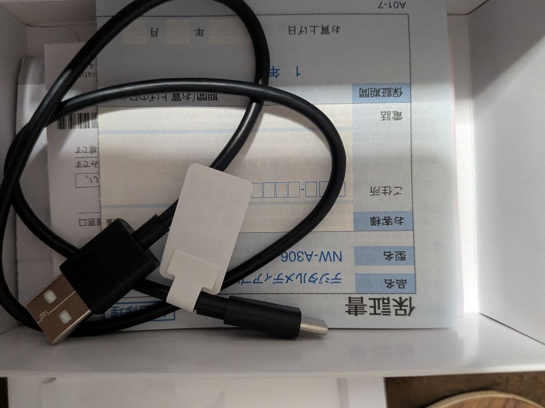 ウォークマン 32GB A300シリーズ NW-A306