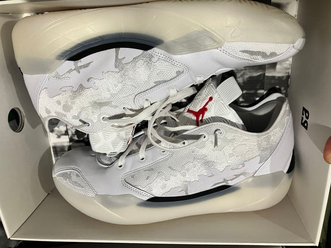 シューズ(男性用) jordan 39 30cm