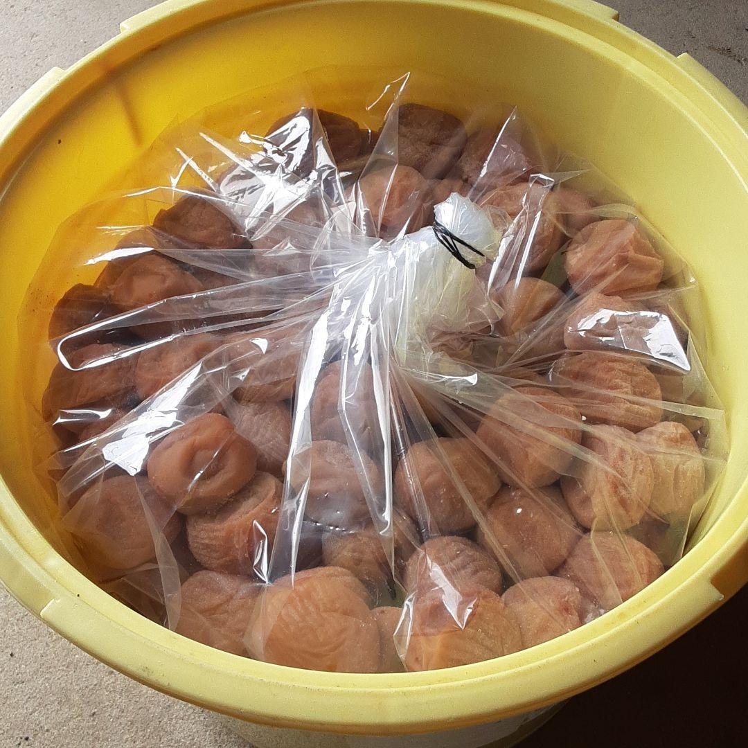 stellar　梅干し10kg(10kg樽)