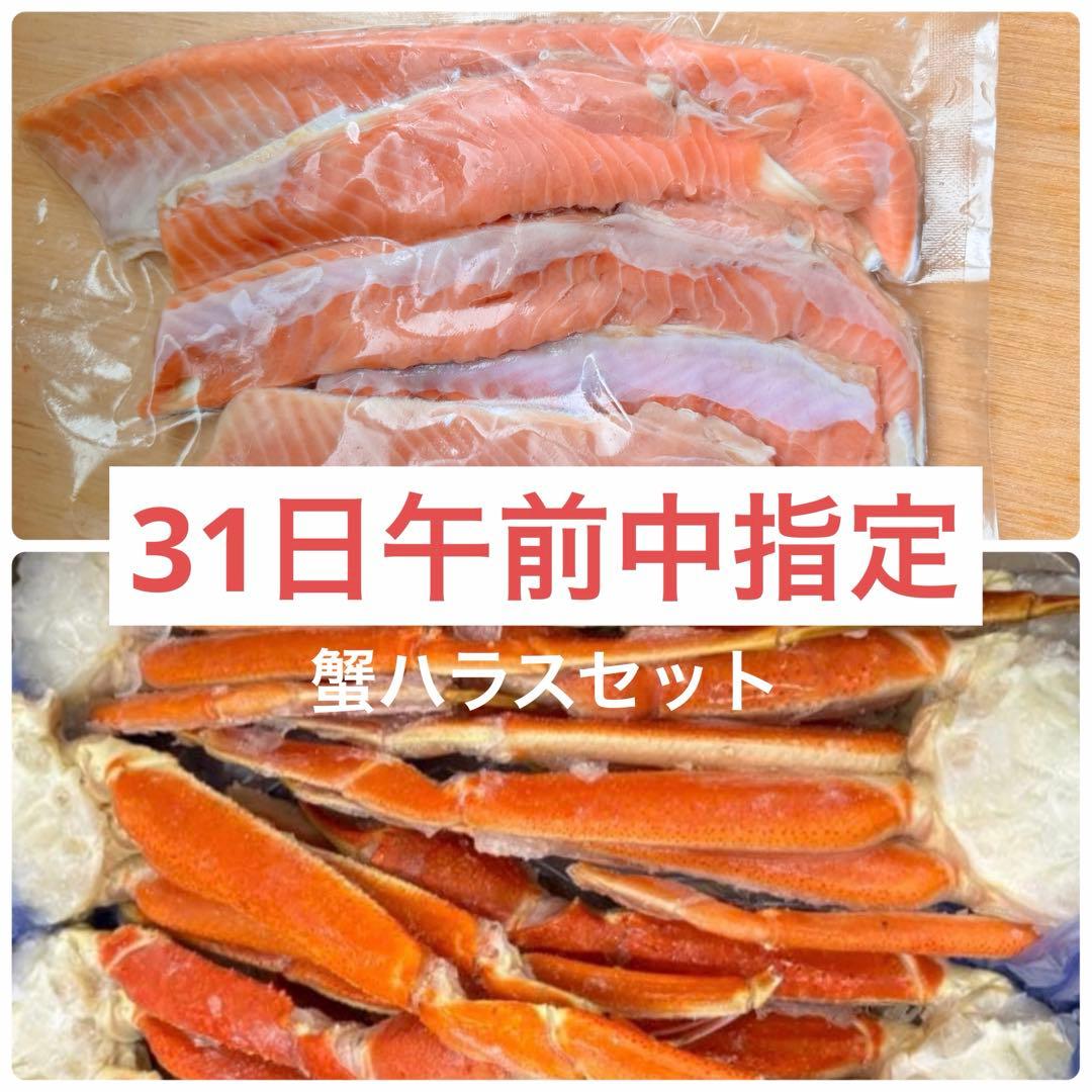 12/31午前中指定　エルフの