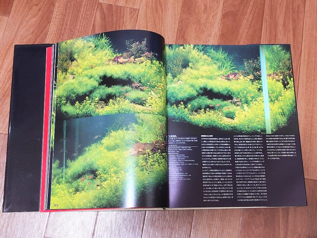熱帯魚 天野尚 ガラスの中の大自然 水草レイアウト 作品集 ＋ ADA2001