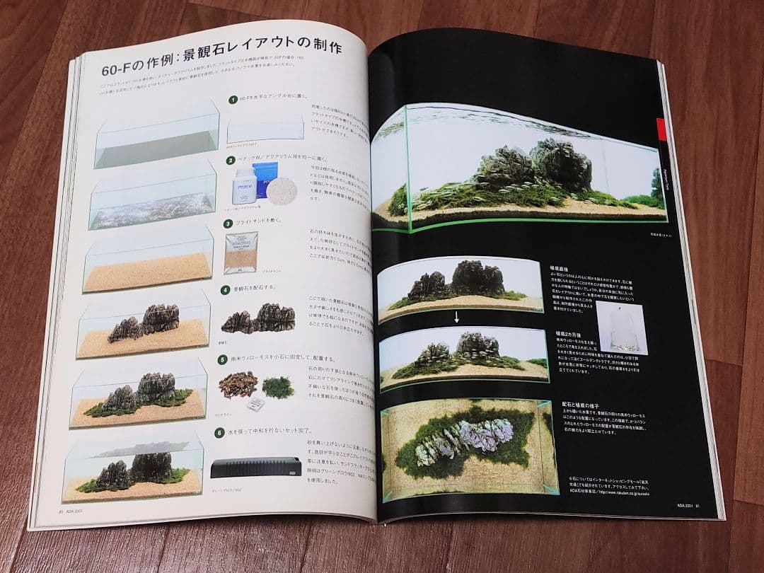 熱帯魚 天野尚 ガラスの中の大自然 水草レイアウト 作品集 ＋ ADA2001