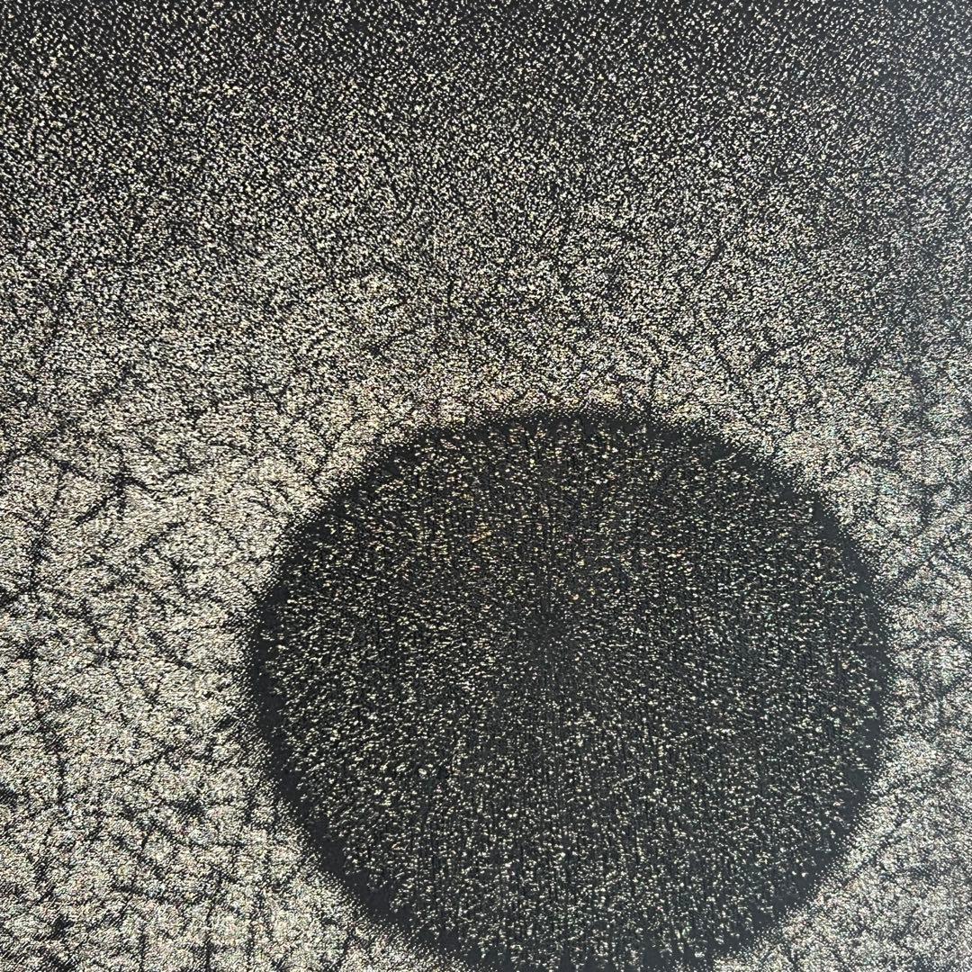 アンティーク着物　五つ紋入り　お召