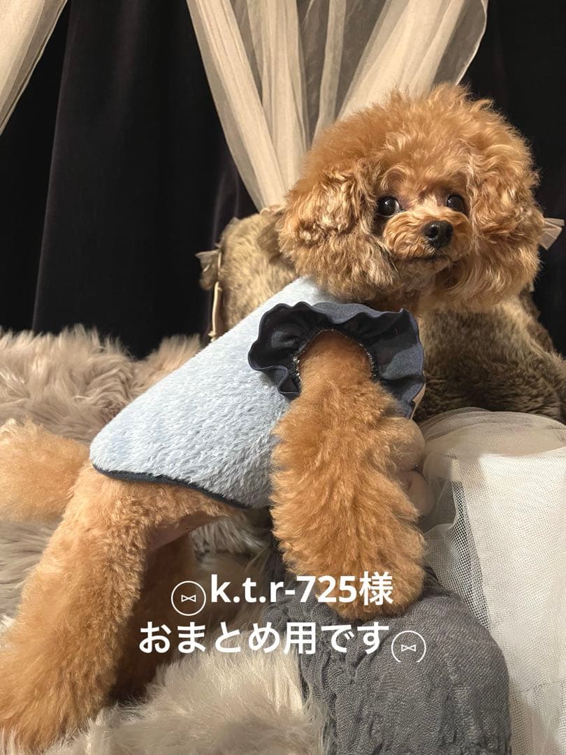 ⑅⃝︎k.t.r-725様おまとめ用です⑅⃝︎
