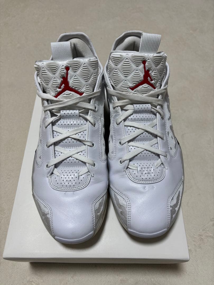 NIKE エアジョーダン 39PF 30cm（箱有）